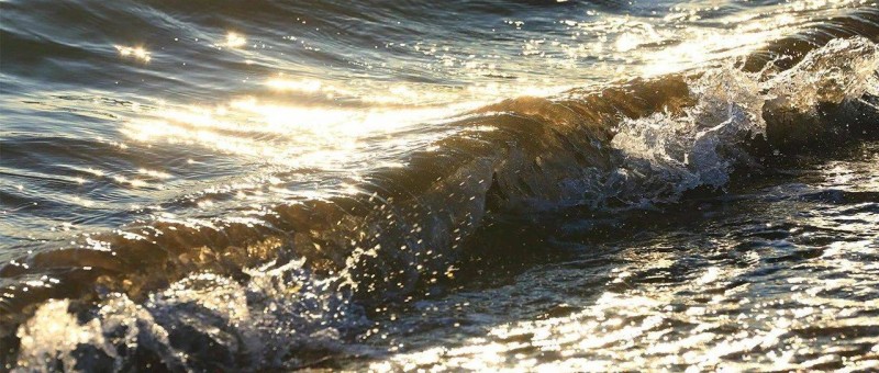 互聯(lián)網(wǎng)江湖大變局，歷史一幕幕在重演