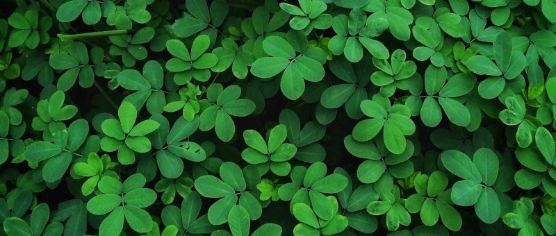 這么難，B2B企業(yè)還要做品牌嗎？