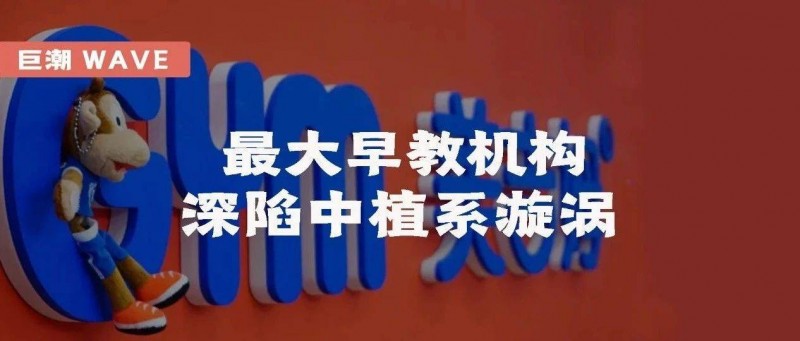 最大早教機(jī)構(gòu)，深陷中植系漩渦｜巨潮