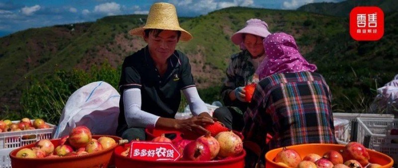 拼多多讀懂農(nóng)心 要增銷，也要增收