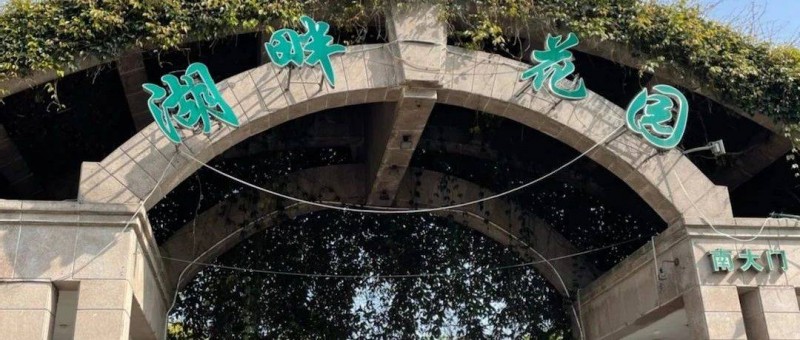 特賽發(fā)2023（三） 產(chǎn)品開發(fā)的點線面局勢體