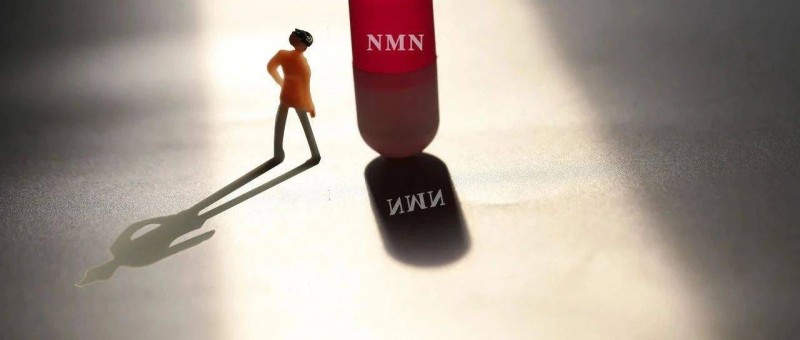 煙酰胺啟示錄 化妝品投資的本質(zhì)是什么？