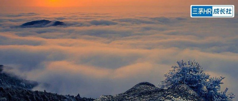 女高管違法開除員工 我有的是人，你TM兩年半找不到工作...