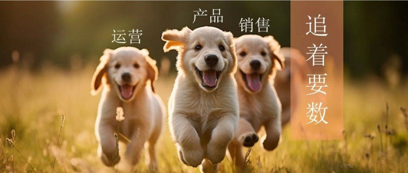 做數(shù)據(jù)分析，我終于擺脫了被追著要數(shù)的日子！