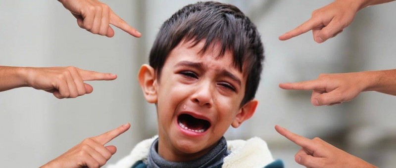 假哭的Temu又被美法院打臉了？