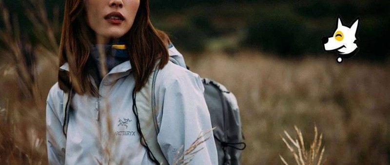 安踏收購的印鈔機，拿捏了4億新中產(chǎn)