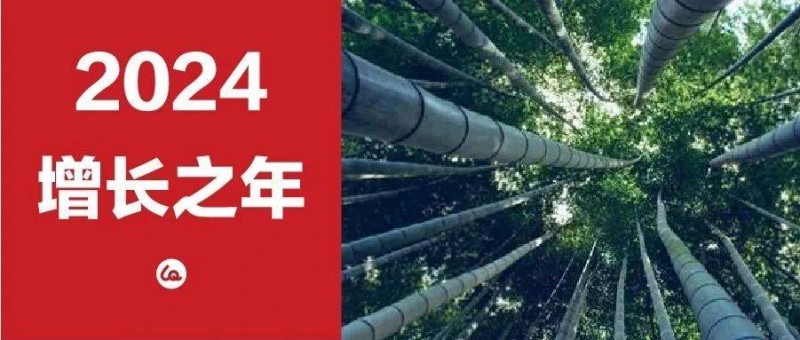 2024，品牌是最好的增長工具