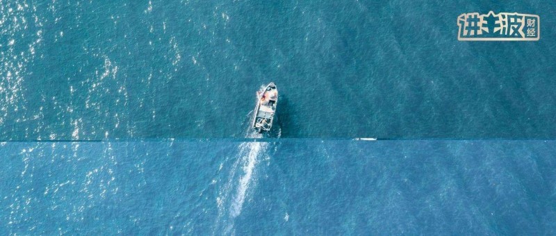 SHEIN 從品牌出海，到品牌生態(tài)出海