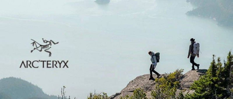 安踏的全球化故事，就像一只始祖鳥