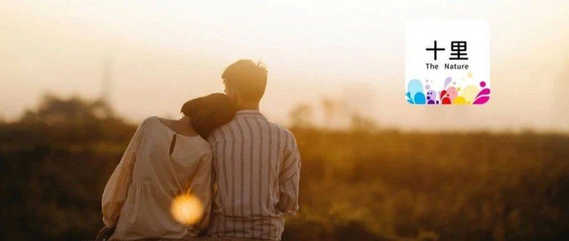 做情感咨詢，悶聲賺大錢！