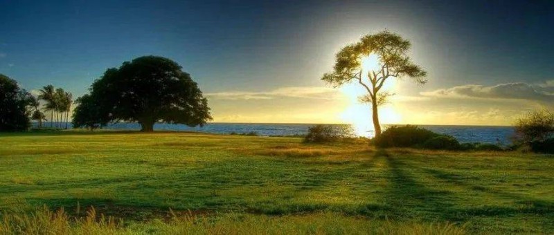 10句話，解讀《非暴力溝通》。