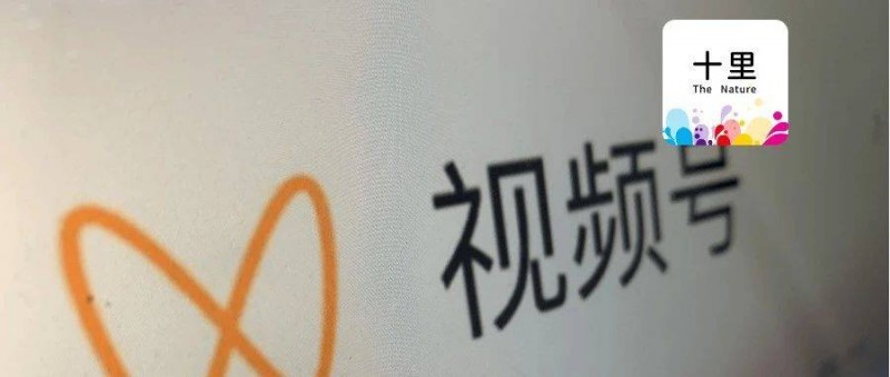 視頻號同城，新的賺錢紅利！