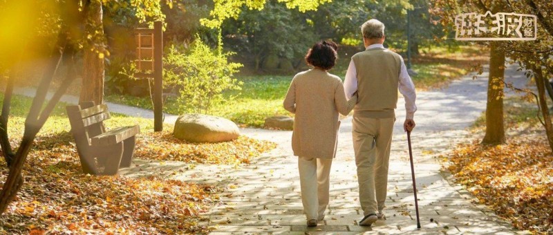 老年情感導(dǎo)師吊打李一舟們