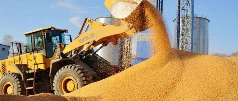 廠商糧倉觀察 近190款獲版號，頭部游戲虹吸效益明顯