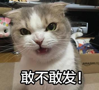 目前網(wǎng)上有許多實時指導網(wǎng)民炒股的群，群主這么做的原因是？