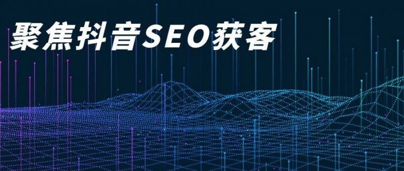 權(quán)重的游戲——B2B抖音，SEO為王