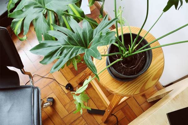 抖音秒殺工廠優(yōu)選店供應商違規(guī)會怎么處理？附注意事項