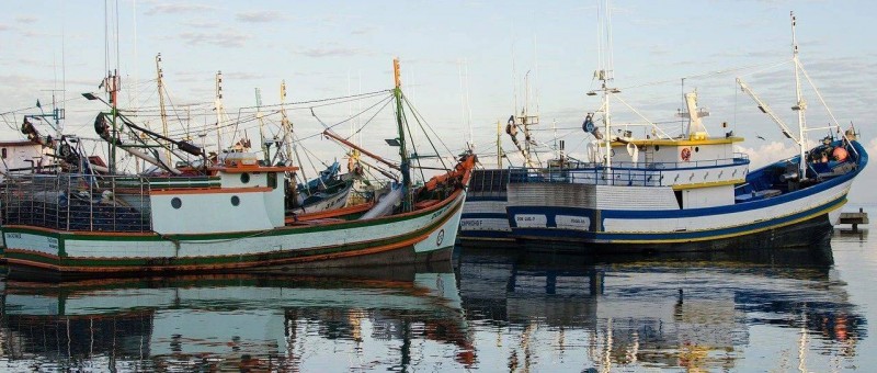 普通人不想太努力，還能快速進(jìn)步的方法！