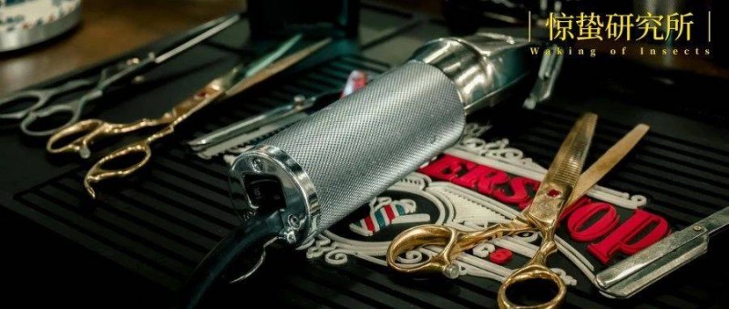 為了洗剪吹自由，年輕人把自己逼成Tony