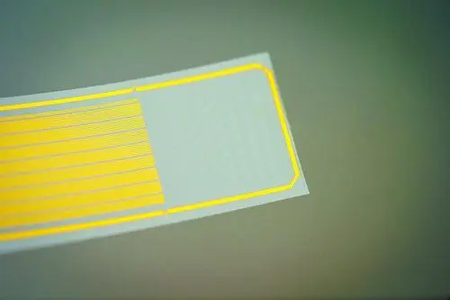 讀心術有望實現(xiàn)！透明植入物可讀取大腦深層神經(jīng)活動