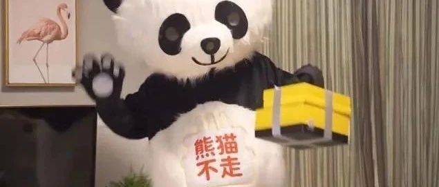 一家年入8億的網(wǎng)紅品牌倒閉了