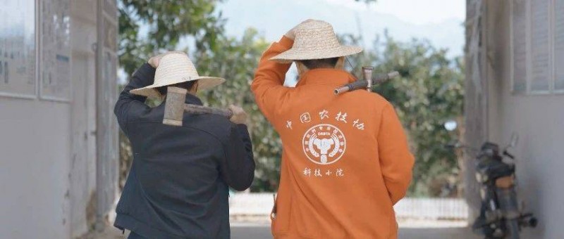 農人多多、投入多多、打開一個高質量的拼多多