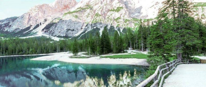 商家，是如何一步步設(shè)計我們的行為的？