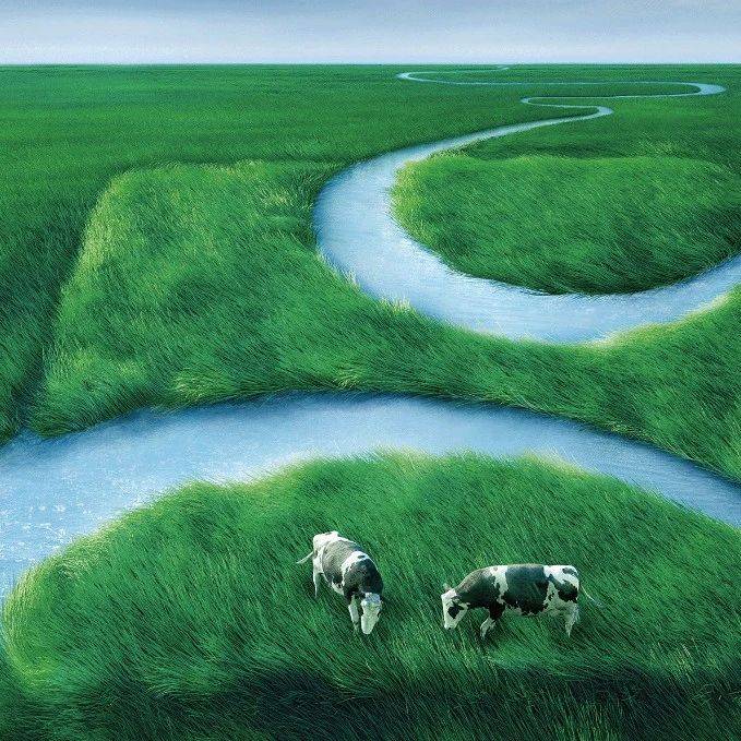 蒙牛高飛 清楚蒙牛問(wèn)題，也懂行業(yè)變化