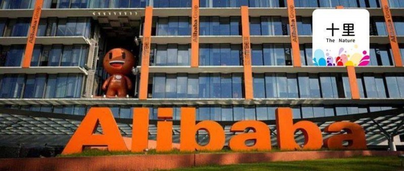 大廠的人不一定都很厲害！