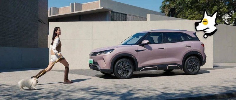 香港年輕人，買(mǎi)不起比亞迪