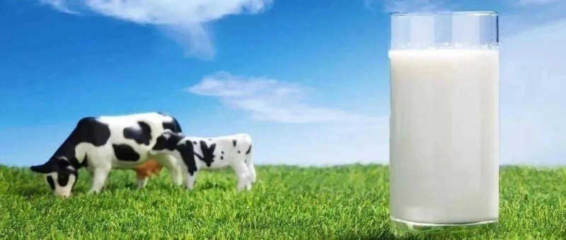 中國奶粉的全球科技敘事