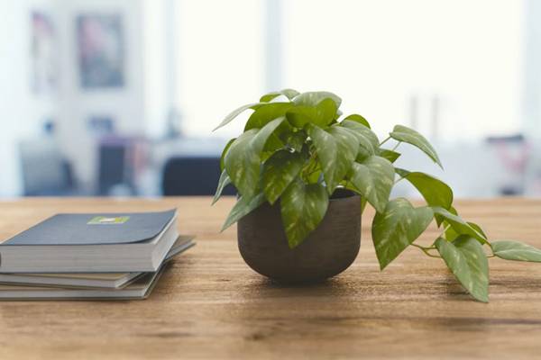 淘寶店鋪出售了對支付寶有影響嗎？店鋪過戶有風(fēng)險嗎？