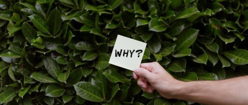 為何節(jié)后上班總是熱搜榜上的?？停科浔澈蟮脑蚴恰?></a></div>
                <div   id=