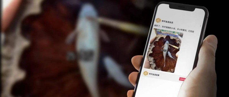 效仿短劇，知乎短文土味出圈