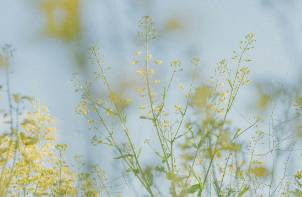 想入門用戶體驗設計？看這篇就夠了！