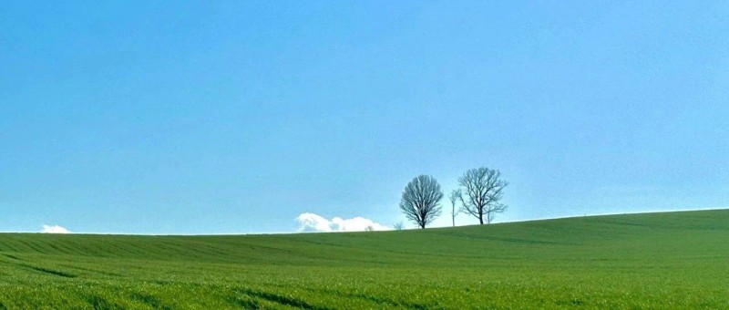 廣告公司轉(zhuǎn)型做咨詢，是個好選擇嗎？