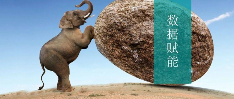 這才是真正的數(shù)據(jù)驅(qū)動決策，你那只是拍腦袋