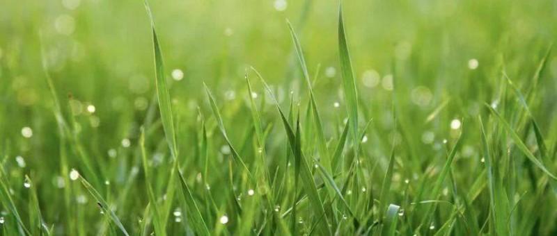 教育行業(yè)如何在小紅書「科學(xué)種草」？