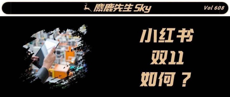 雙11，電商格局已變