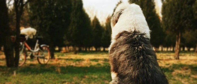 很想一次性講清楚 數(shù)據(jù)分析師有必要轉(zhuǎn)數(shù)據(jù)產(chǎn)品經(jīng)理么？