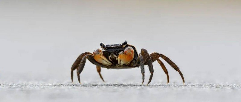 四象限分析法，原來(lái)牛人是這么思考問(wèn)題的！