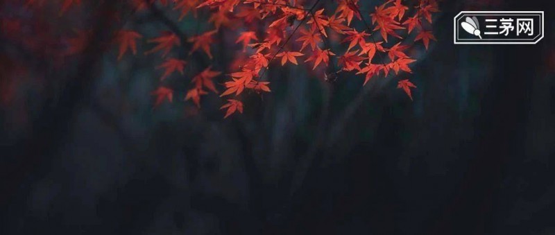 楊穎1億粉絲賬號被禁 德不配位，最后都逃不過這個下場..