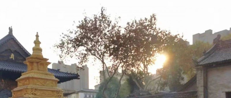 2023年旅游景區(qū)的市場營銷這么干！