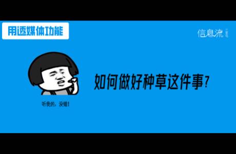 小投入，大回報，種草通-競價讓種草更輕松