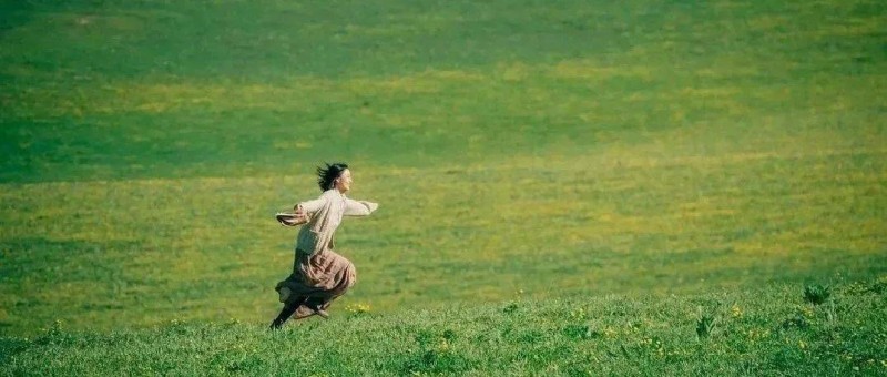 《我的阿勒泰》這些 松弛感文案，溫暖又治愈