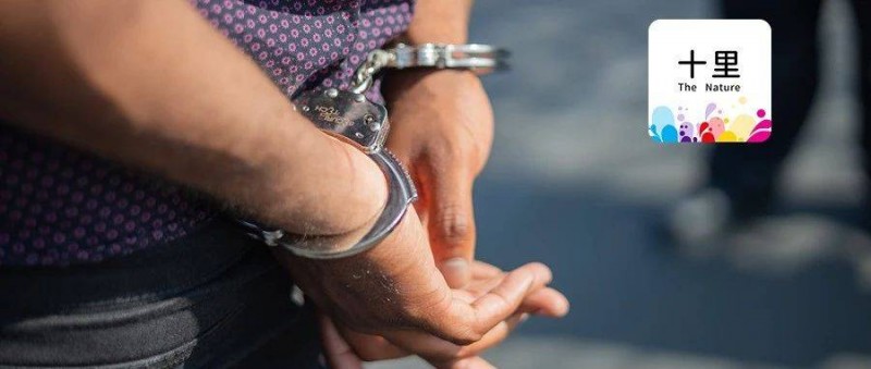 網(wǎng)紅權(quán)星被封，這7類IP都很危險(xiǎn)！