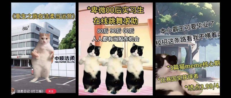 霸榜三平臺，貓meme踩中三大爆款要素