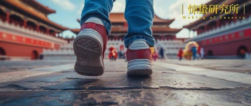 144小時(shí)硬控老外，China Travel 火了