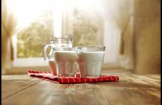 光明乳業(yè)的繁花時(shí)代 從鮮奶中來，到鮮奶中去？