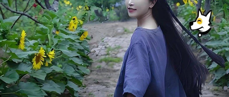 李子柒，為什么消失得這么徹底？